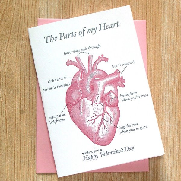 anatomical heart valentines day card